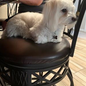 Meet your Posher, Thania